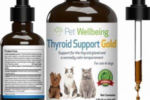 Top-Rated Dry Dog Food for Hypothyroidism: Expert Picks World’s Most Delicious Foods: Must-Try Dishes from Every Country Top-Rated Dry Dog Food for Hypothyroidism: Expert Picks | World’s Most Delicious Foods: Must-Try Dishes from Every Country