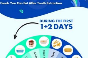 Tooth Extraction: Can I Eat Solid Food After 3 Days? Tips! World’s Most Delicious Foods: Must-Try Dishes from Every Country Tooth Extraction: Can I Eat Solid Food After 3 Days? Tips! | World’s Most Delicious Foods: Must-Try Dishes from Every Country