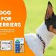 Top Picks: Best Dog Food for Rat Terriers in 2024 | World’s Most Delicious Foods: Must-Try Dishes from Every Country