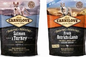 Best Carnilove Dog Food: Reviews & Buying Guide (2024) World’s Most Delicious Foods: Must-Try Dishes from Every Country Best Carnilove Dog Food: Reviews & Buying Guide (2024) | World’s Most Delicious Foods: Must-Try Dishes from Every Country