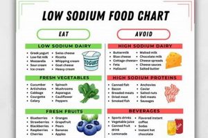 Best Low Sodium Cat Food: Diet & Health [Guide] | World’s Most Delicious Foods: Must-Try Dishes from Every Country