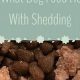 Best Dog Food That Helps With Shedding: Diet & Tips! | World’s Most Delicious Foods: Must-Try Dishes from Every Country