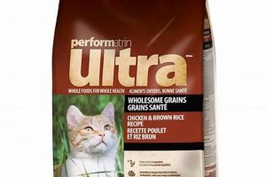 Best Ultra Cat Food: Premium Nutrition Guide for Cats World’s Most Delicious Foods: Must-Try Dishes from Every Country Best Ultra Cat Food: Premium Nutrition Guide for Cats | World’s Most Delicious Foods: Must-Try Dishes from Every Country