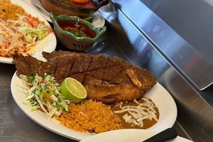 Best Mexican Food Waukesha: Your Local Guide! World’s Most Delicious Foods: Must-Try Dishes from Every Country Best Mexican Food Waukesha: Your Local Guide! | World’s Most Delicious Foods: Must-Try Dishes from Every Country