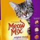 Top Value: Best Inexpensive Dry Cat Food For Happy Cats! | World’s Most Delicious Foods: Must-Try Dishes from Every Country