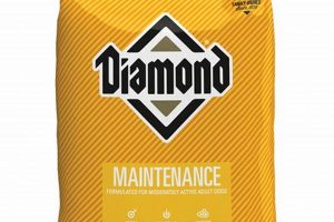 Best Diamond Maintenance Dog Food: Reviews & Guide World’s Most Delicious Foods: Must-Try Dishes from Every Country Best Diamond Maintenance Dog Food: Reviews & Guide | World’s Most Delicious Foods: Must-Try Dishes from Every Country