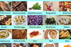 Delicious Food That Starts with D: Discover Now! World’s Most Delicious Foods: Must-Try Dishes from Every Country Delicious Food That Starts with D: Discover Now! | World’s Most Delicious Foods: Must-Try Dishes from Every Country