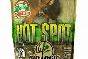 Top No-Till Deer Food Plot Seed: Best Mixes & More! World’s Most Delicious Foods: Must-Try Dishes from Every Country Top No-Till Deer Food Plot Seed: Best Mixes & More! | World’s Most Delicious Foods: Must-Try Dishes from Every Country