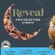 Best Reveal Cat Food Review: Is It Right For Your Cat? | World’s Most Delicious Foods: Must-Try Dishes from Every Country