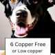 Guide: Copper Free Dog Food for Liver Health + FAQs | World’s Most Delicious Foods: Must-Try Dishes from Every Country