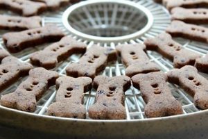 Easy Homemade Food Dehydrator Dog Treats Recipes for Your Dog World’s Most Delicious Foods: Must-Try Dishes from Every Country Easy Homemade Food Dehydrator Dog Treats Recipes for Your Dog | World’s Most Delicious Foods: Must-Try Dishes from Every Country