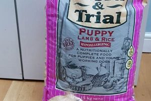Try Before You Buy: Free Trial Dog Food Offers Today! World’s Most Delicious Foods: Must-Try Dishes from Every Country Try Before You Buy: Free Trial Dog Food Offers Today! | World’s Most Delicious Foods: Must-Try Dishes from Every Country