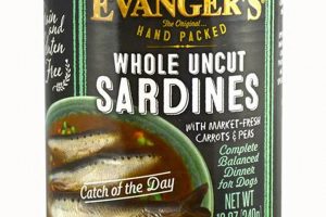 Boost Your Dog's Health: Sardine Dog Food Benefits World’s Most Delicious Foods: Must-Try Dishes from Every Country Boost Your Dog's Health: Sardine Dog Food Benefits | World’s Most Delicious Foods: Must-Try Dishes from Every Country