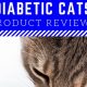 Top Picks: Best Wet Food for Diabetic Cats Guide | World’s Most Delicious Foods: Must-Try Dishes from Every Country