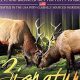 Is Zignature Venison Dog Food Right For Your Dog? | World’s Most Delicious Foods: Must-Try Dishes from Every Country