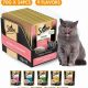 Sheba Cat Food: Is It Really Healthy? + Expert Review | World’s Most Delicious Foods: Must-Try Dishes from Every Country