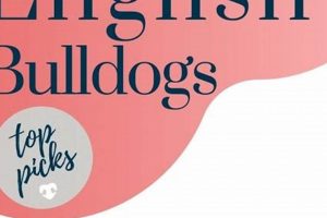 The BEST Dog Food For Bulldog Puppies: Guide & Reviews World’s Most Delicious Foods: Must-Try Dishes from Every Country The BEST Dog Food For Bulldog Puppies: Guide & Reviews | World’s Most Delicious Foods: Must-Try Dishes from Every Country