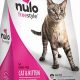 Best Nulo Freestyle Cat Food: Reviews & Benefits | World’s Most Delicious Foods: Must-Try Dishes from Every Country