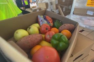 Find a Food Pantry Virginia Beach Near You + Support World’s Most Delicious Foods: Must-Try Dishes from Every Country Find a Food Pantry Virginia Beach Near You + Support | World’s Most Delicious Foods: Must-Try Dishes from Every Country
