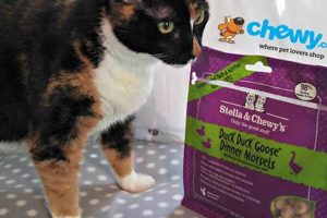 Stella & Chewy Cat Food: Is It Really Good? [Review] | World’s Most Delicious Foods: Must-Try Dishes from Every Country