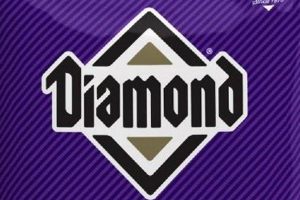 Diamond Puppy Food: The Best Formula for a Healthy Pup! World’s Most Delicious Foods: Must-Try Dishes from Every Country Diamond Puppy Food: The Best Formula for a Healthy Pup! | World’s Most Delicious Foods: Must-Try Dishes from Every Country