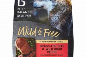 Why Boar Dog Food? A Novel Protein Diet Guide World’s Most Delicious Foods: Must-Try Dishes from Every Country Why Boar Dog Food? A Novel Protein Diet Guide | World’s Most Delicious Foods: Must-Try Dishes from Every Country
