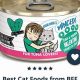 The Best Best Friends Cat Food Guide: Nutrition &amp; Brands | World’s Most Delicious Foods: Must-Try Dishes from Every Country