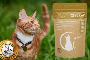 Best Halal Cat Food Brands: Guide & Reviews! World’s Most Delicious Foods: Must-Try Dishes from Every Country Best Halal Cat Food Brands: Guide & Reviews! | World’s Most Delicious Foods: Must-Try Dishes from Every Country
