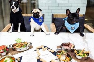 Find Near You: Dog Friendly Food Places & More! World’s Most Delicious Foods: Must-Try Dishes from Every Country Find Near You: Dog Friendly Food Places & More! | World’s Most Delicious Foods: Must-Try Dishes from Every Country