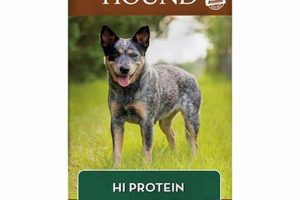 Best Dog Food at Atwood's: Nourish Your Pup! World’s Most Delicious Foods: Must-Try Dishes from Every Country Best Dog Food at Atwood's: Nourish Your Pup! | World’s Most Delicious Foods: Must-Try Dishes from Every Country