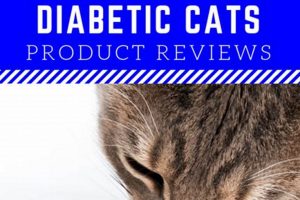 Guide: Best Wet Food for Diabetic Cat in 2024! World’s Most Delicious Foods: Must-Try Dishes from Every Country Guide: Best Wet Food for Diabetic Cat in 2024! | World’s Most Delicious Foods: Must-Try Dishes from Every Country