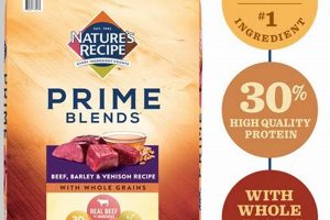 The Ultimate Dog Food Prime: Your Dog's Best Fuel! World’s Most Delicious Foods: Must-Try Dishes from Every Country The Ultimate Dog Food Prime: Your Dog's Best Fuel! | World’s Most Delicious Foods: Must-Try Dishes from Every Country