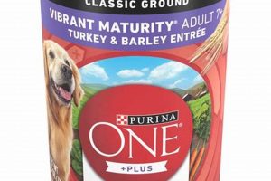 Top Rated: Best Canned Dog Food for Seniors in 2024 World’s Most Delicious Foods: Must-Try Dishes from Every Country Top Rated: Best Canned Dog Food for Seniors in 2024 | World’s Most Delicious Foods: Must-Try Dishes from Every Country