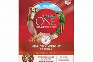 Best High Fiber Dog Food Purina: Guide & Tips World’s Most Delicious Foods: Must-Try Dishes from Every Country Best High Fiber Dog Food Purina: Guide & Tips | World’s Most Delicious Foods: Must-Try Dishes from Every Country