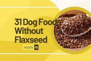 Best Dog Food Without Flaxseed: Benefits & Brands Guide World’s Most Delicious Foods: Must-Try Dishes from Every Country Best Dog Food Without Flaxseed: Benefits & Brands Guide | World’s Most Delicious Foods: Must-Try Dishes from Every Country