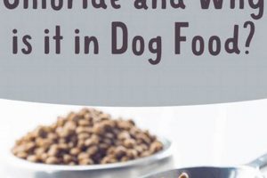 Why Choline Chloride in Dog Food Matters + Benefits World’s Most Delicious Foods: Must-Try Dishes from Every Country Why Choline Chloride in Dog Food Matters + Benefits | World’s Most Delicious Foods: Must-Try Dishes from Every Country