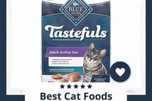 Blue Buffalo Cat Food: Honest Reviews & Alternatives for Cats World’s Most Delicious Foods: Must-Try Dishes from Every Country Blue Buffalo Cat Food: Honest Reviews & Alternatives for Cats | World’s Most Delicious Foods: Must-Try Dishes from Every Country