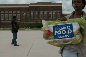 Why Was My Food Stamps Application Denied? [Guide] | World’s Most Delicious Foods: Must-Try Dishes from Every Country