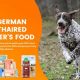 Top Picks: Best Dog Food for German Shorthaired Pointer Puppy Guide | World’s Most Delicious Foods: Must-Try Dishes from Every Country
