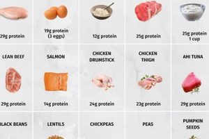 High-Protein Indian Food: Delicious & Nutritious Meals World’s Most Delicious Foods: Must-Try Dishes from Every Country High-Protein Indian Food: Delicious & Nutritious Meals | World’s Most Delicious Foods: Must-Try Dishes from Every Country