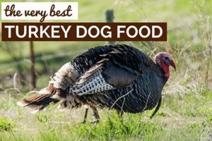 Top Turkey Dog Food: Nourish Your Pup Naturally World’s Most Delicious Foods: Must-Try Dishes from Every Country Top Turkey Dog Food: Nourish Your Pup Naturally | World’s Most Delicious Foods: Must-Try Dishes from Every Country
