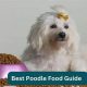 Finding the Best Poodle Food: Guide & Reviews | World’s Most Delicious Foods: Must-Try Dishes from Every Country