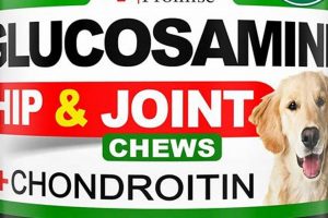 Joint Support: Best Dog Food with Glucosamine & Chondroitin World’s Most Delicious Foods: Must-Try Dishes from Every Country Joint Support: Best Dog Food with Glucosamine & Chondroitin | World’s Most Delicious Foods: Must-Try Dishes from Every Country