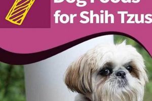 The Best Food for Shih Tzus: Diet & Health Guide World’s Most Delicious Foods: Must-Try Dishes from Every Country The Best Food for Shih Tzus: Diet & Health Guide | World’s Most Delicious Foods: Must-Try Dishes from Every Country
