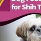 The Best Food for Shih Tzus: Diet & Health Guide | World’s Most Delicious Foods: Must-Try Dishes from Every Country