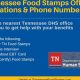 Jackson, TN Food Stamp Office: Your SNAP Guide | World’s Most Delicious Foods: Must-Try Dishes from Every Country