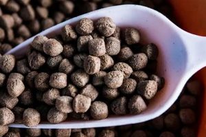 Best Fish Food Pellets: Nutrition & Feeding Guide World’s Most Delicious Foods: Must-Try Dishes from Every Country Best Fish Food Pellets: Nutrition & Feeding Guide | World’s Most Delicious Foods: Must-Try Dishes from Every Country