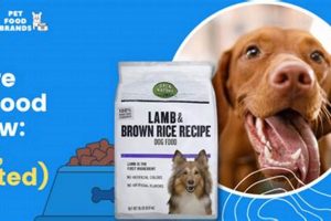 Honest Open Nature Dog Food Reviews: Is It Right For Your Pup? World’s Most Delicious Foods: Must-Try Dishes from Every Country Honest Open Nature Dog Food Reviews: Is It Right For Your Pup? | World’s Most Delicious Foods: Must-Try Dishes from Every Country