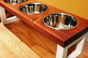Best Wooden Dog Food Stand [Elevated Feeder] | World’s Most Delicious Foods: Must-Try Dishes from Every Country