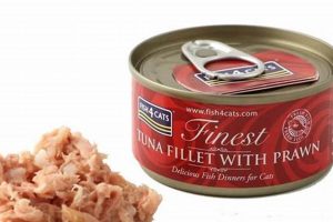 Best Tuna Fish Cat Food: Reviews & Healthy Choices! World’s Most Delicious Foods: Must-Try Dishes from Every Country Best Tuna Fish Cat Food: Reviews & Healthy Choices! | World’s Most Delicious Foods: Must-Try Dishes from Every Country